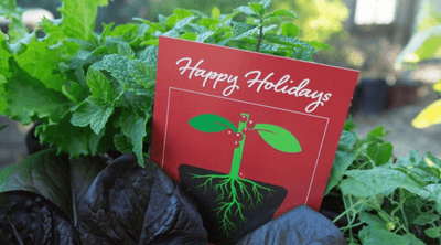 Planted Places 2021 Holiday Gift Guide