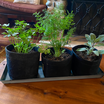 Nantucket Blue Galvanized Steel Planter Tray