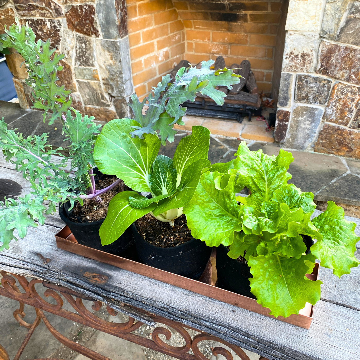 Planter Tray