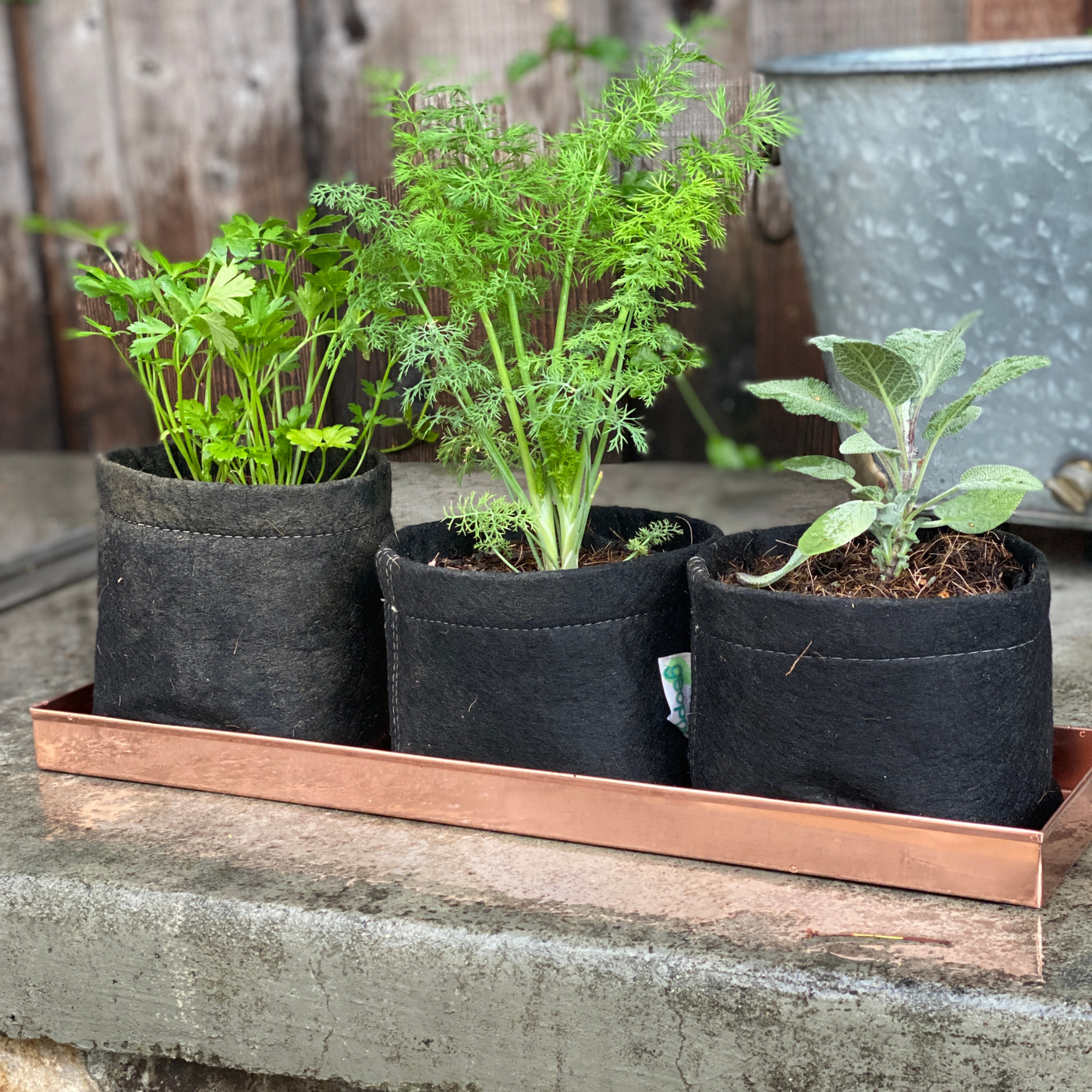 Copper Windowsill Planter Tray