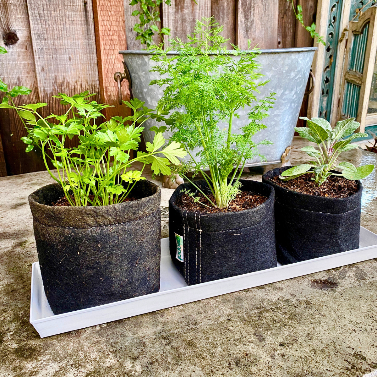 Cape Cod White Galvanized Steel Planter Tray