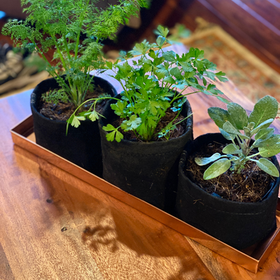 Copper Windowsill Planter Tray