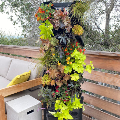 Vivid Warming Trend Planted Wall Bundle