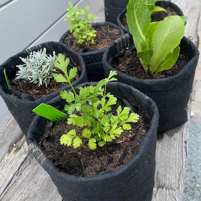 Custom Garden Gift Box - 3 months!